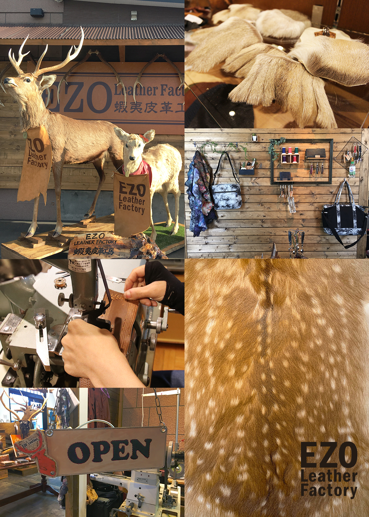 エゾレザーファクトリー